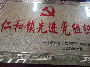 先進(jìn)黨支部(仁和授).jpg 先進(jìn)黨支部(仁和授).jpg